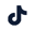 tiktokicon2.0